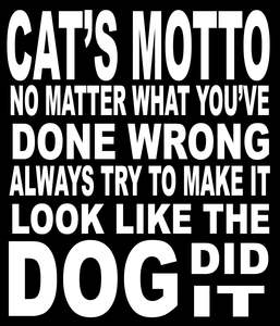 BW63 CAT`S MOTTO