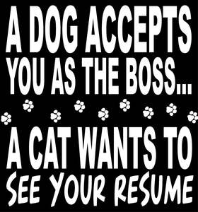 BW94 A DOG ACCEPTS YOU AS