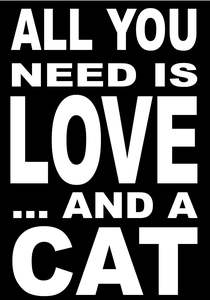 BW23 ALL YOU NEED CAT.
