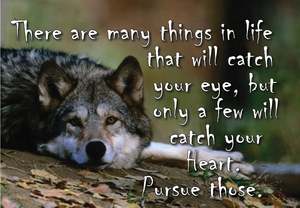 NZA76 THERE ARE MANY THINGS