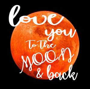 BO143 LOVE YOU TO THE MOON