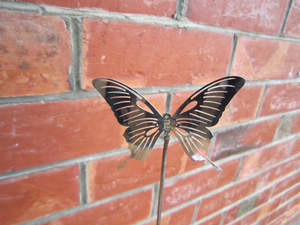 Specials: SB5 47CM STAINLESS BUTTERFLY