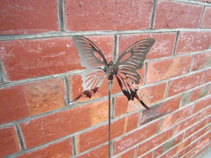 SB4 34cm STAINLESS BUTTERFLY