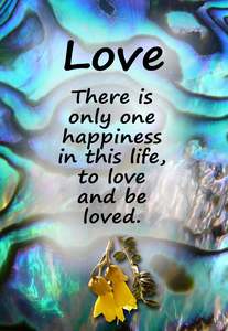 PAU8 LOVE THERE IS ONLY ONE KOWHAI