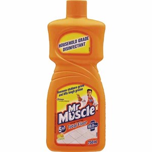 Indoor Cleaning: Mr Muscle Floor Cleaner 750ml