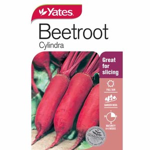 Flowers: Yates Vegetable Seed Beetroot Cylindra