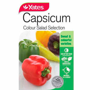 Flowers: Yates Vegetable Seed Capsicum 'Colour Salad Selection'