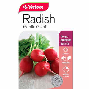 Flowers: Yates Vegetable Seed Radish 'Gentle Giant'