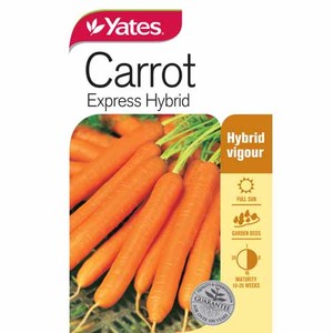Yates Vegetable Seed Carrot 'Express' Hybrid