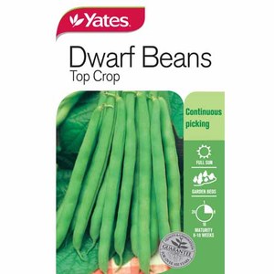 Yates Vegetable Seed Beans Top Crop Dwarf Variety
