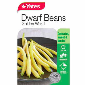 Flowers: Yates Vegetable Seed Beans Golden Wax Dwarf Variety