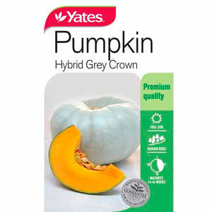 Flowers: Yates Vegetable Seed Pumpkin 'Hybrid Grey Crown'