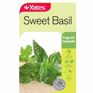 Flowers: Yates Herb Seed Basil Sweet