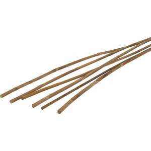 Number 8 Bamboo Cane Garden Stakes 2.4m Natural