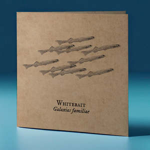 Whitebait Critter Greeting Card