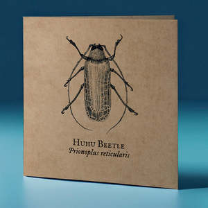 Greeting Cards: Huhu Beetle Critter Greeting Card