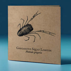 Greeting Cards: Gregarious Squat Lobster Critter Greeting Card