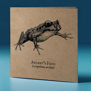 Archey's Frog Critter Greeting Card