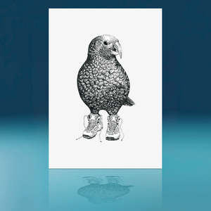 Art Prints 2: Trainers Kea Art Print