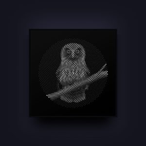 Ruru / Polydot