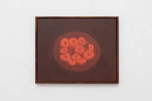 Peach Tree Briana Jamieson: Red Peaches