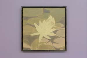 Ochre Water Lily