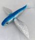 Flying fish 8" Kaveman Tackle
