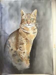 Silk Painting Originals: Commissioned Silk Painting of a Ocicat cat. Bespoke Silk Art