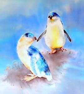 Anything: Little Blue Peguin, Korora   Outdoor Wall Art Panel -  Squarish