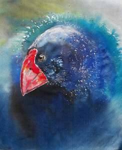 New Zealand Takahe - Outdoor Art squarish