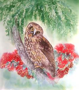 Anything: New Zealand Ruru, Morepork, and Pohutukawa Flowers -  Squarish