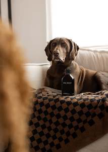 Bathroom Selfcare: Revive Pet Wash / Manuka, Kawakawa & Palmarosa