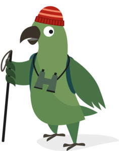 1kg pack of Gingernut Cookies