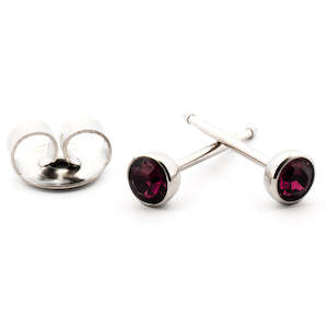 February (Amethyst) Silver Earrings