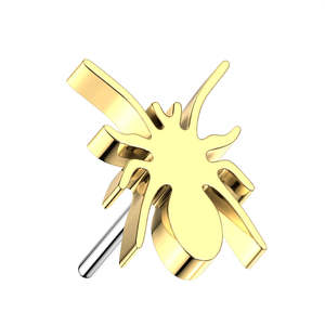 Gold Spider Titanium Threadless Top
