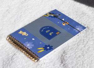 Baby Memory Journal (Mauve)