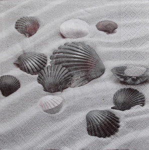 Seascape: Ss023