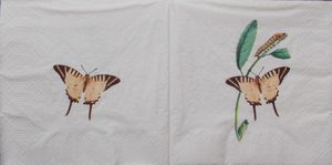 Floral Scenes: Fl615