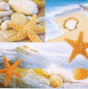 Seascape: Ss066