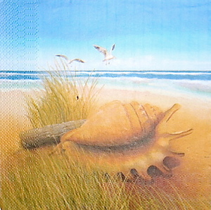 Seascape: Ss134