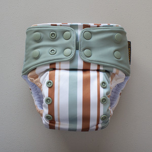 Night Nappies: Kekoa Premium Heavy Wetter | Awning (Seafoam Wings)