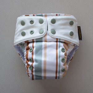 Premium One Size Nappies: Kekoa Premium | Awning (Cream Wings)