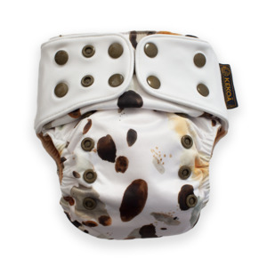 Tiaki: Kekoa Premium | Tarāpuka (Black-billed gull)