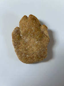 1: Paw or Dog Shape