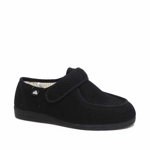 Celia Ruiz Wallaby - Kelly's Footwear