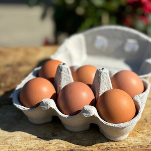 Free Range Eggs - 6 pack