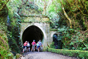 Products: Remutaka Cycle Trail