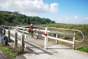 Auckland Airport to City