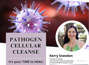 Pathogen Cellular Cleanse Program Kerry Sneedon