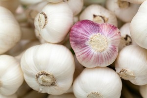 Products: NZ Fresh Garlic Bulbs - Kerikeri Organic
